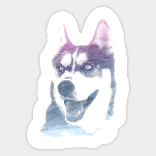 Husky Superimposed Watercolor Sticker